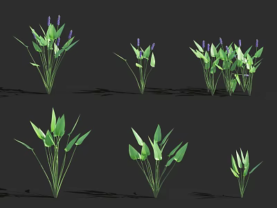 Six Clusters of Green Plants With Purple Flowers in Different Forms on Black Background 3d model