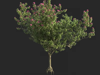 Vibrant Shrub With Green Leaves Pink Flowers And Visible Roots 3d model