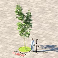 Outdoor Light Small Street Lamp Featuring 1.8 Meters Height for Paved Garden Outdoor Area
