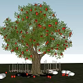 Garden Landscape Featuring Fruit Tree With Red Fruits Wooden Fence And Green Grassland