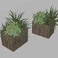 Decorative Potted Plants in Rustic Wooden Box Planters with Green Foliage