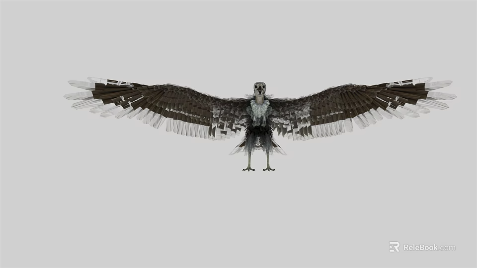 Majestic Eagle Spreading Wings with Detailed Feathers in Flight Stance Against Neutral Background 3d model 