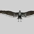 Majestic Eagle Spreading Wings with Detailed Feathers in Flight Stance Against Neutral Background