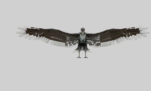 Modern Eagle 3d model