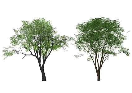 Modern Trees Landscape Trees Big Trees Street Trees Model Trees Ornamental Trees Courtyard Trees Plant Groups 3d model