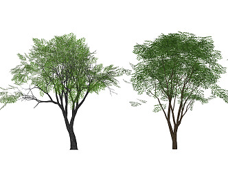 Modern Trees Landscape Trees Big Trees Street Trees Model Trees Ornamental Trees Courtyard Trees Plant Groups 3d model