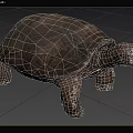 Large Reptile Tortoise With Detailed Shell Texture Scaly Limbs And Open Mouth On Natural Ground