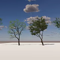 Five Green Arbor Trees Standing On White Ground Under Blue Sky With White Clouds 3d model