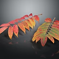 Vibrant Red and Yellow Autumn Leaves with Green Veins on Black Background