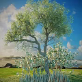 Tall Lush Arbor With Dense Green Foliage And Sturdy Trunk Standing On Green Grass Under Blue Sky