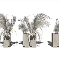 Dried Flowers In Three Concrete Vases For Modern Decorative