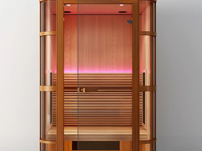 Modern Wooden Sauna Interior Design With Glass Door And Cozy Lighting Panels 3d model