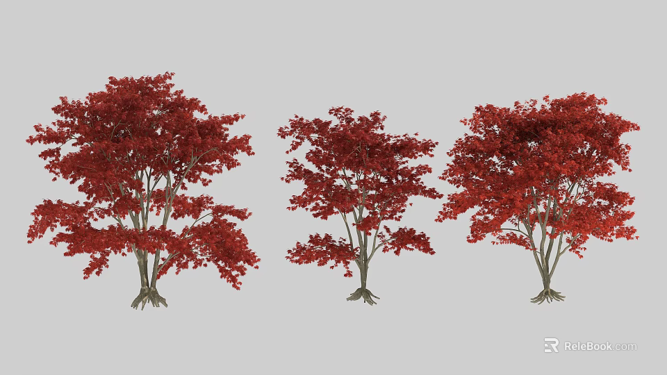 Three Red Leaf Arbor Trees With Vibrant Foliage On Gray Background 3d model 