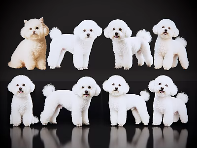 Cute White Puppies In Various Poses On Black Background With Reflections 3d model