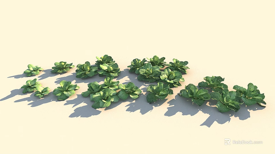 Fresh Green Leafy Vegetables Arranged on Light Background with Shadows 3d model