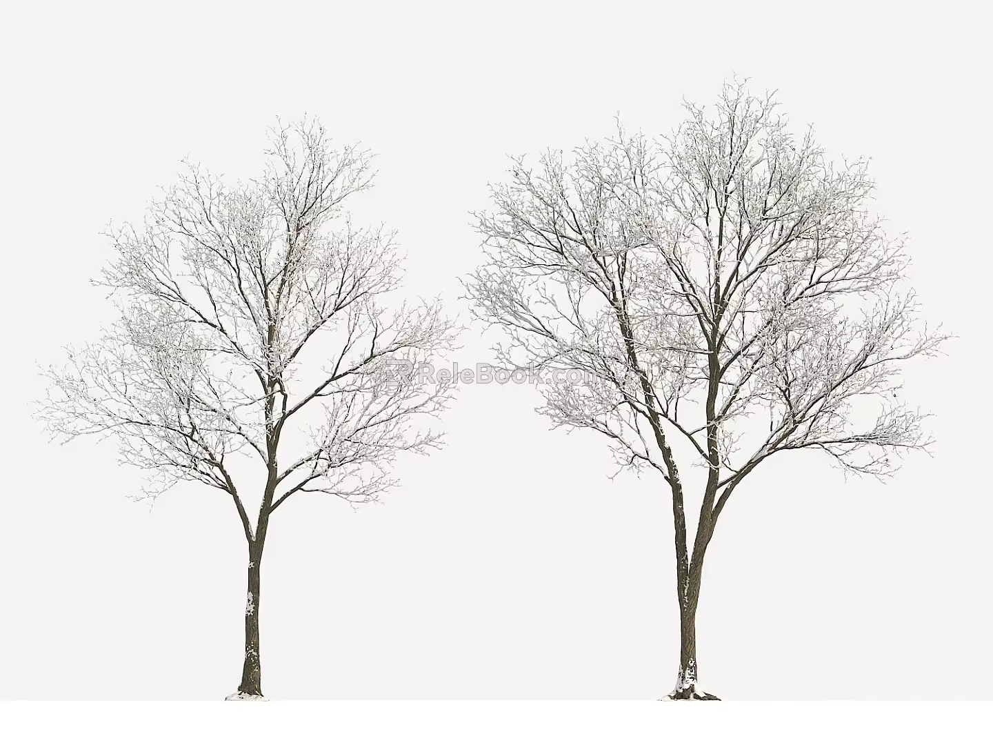 Plant Tree Snow Tree Winter Tree Big Tree 3d model