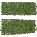 Living Plant Wall With Lush Green Foliage For Indoor Decorative Design
