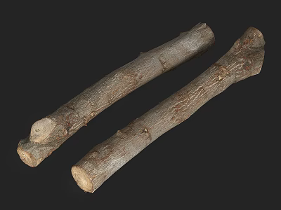 Two Natural Wood Logs With Rough Bark Texture For Decorative Craft Use 3d model