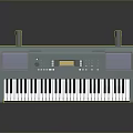 Portable Digital Electronic Keyboard Music Instrument with Stand Black and White Keys