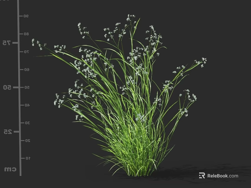 Lush Green Grass With Small White Flowers Growing In Natural Outdoor Space 3d model 