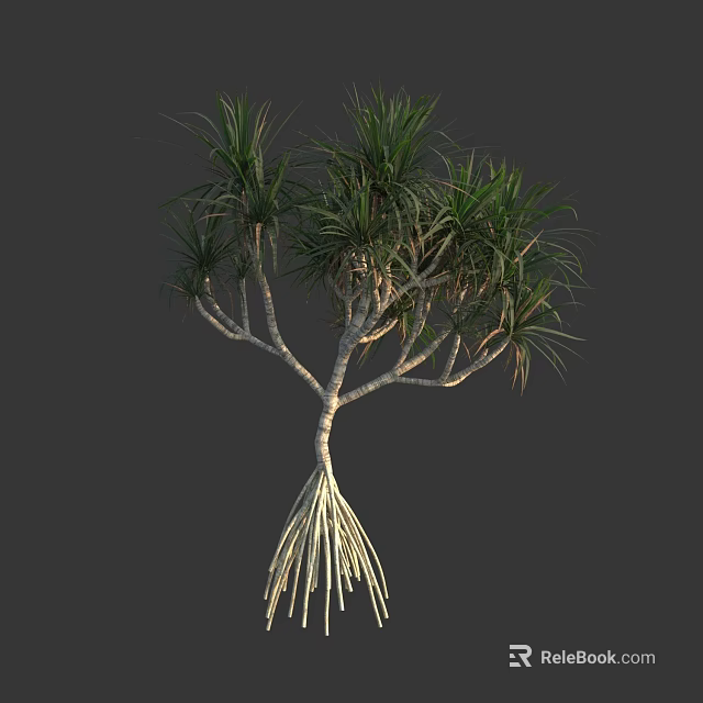 Lush Tropical Arbor With Green Long Leaves Multiple Stems And Aerial Roots 3d model 