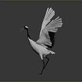 White Crane With Red Crown Spreading Wings And Black Wing Edges On Gray Background 3d model
