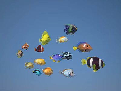 Colorful Tropical Fish Swimming Together In Clear Blue Water With Diverse Patterns 3d model