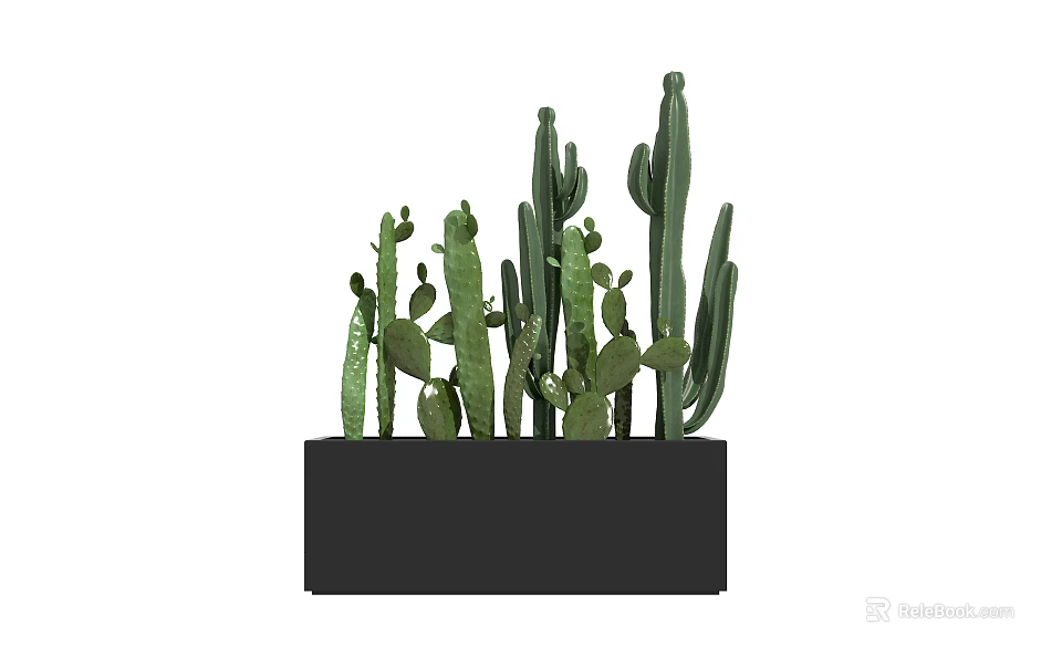 Green Cactus Bonsai In Black Rectangular Pot With Various Heights And Shapes 3d model 