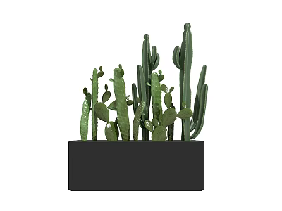 Green Cactus Bonsai In Black Rectangular Pot With Various Heights And Shapes 3d model