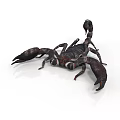 Detailed 3D Model of Scorpion with Dark Exoskeleton Curved Tail and Sharp Claws
