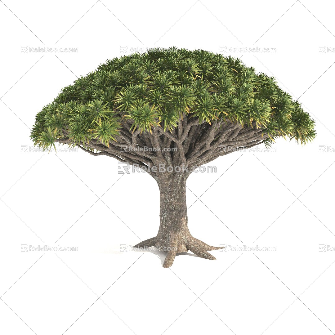 Plants Trees Big Crown Trees Arbor 3d model