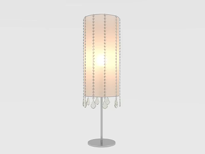 Elegant Cylindrical Floor Lamp With Beaded Lampshade And Warm Glow 3d model