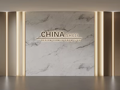 China Shedu Design Aesthetics Of Luxury Life With Marble Wall And Lighting 3d model