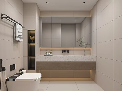 Toilet Smart Toilet Washbasin Bathroom Cabinet Niches Mirror Cabinet 3d model