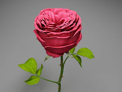 Beautiful Pink Rose With Vibrant Green Leaves And Stem On Gray Background 3d model
