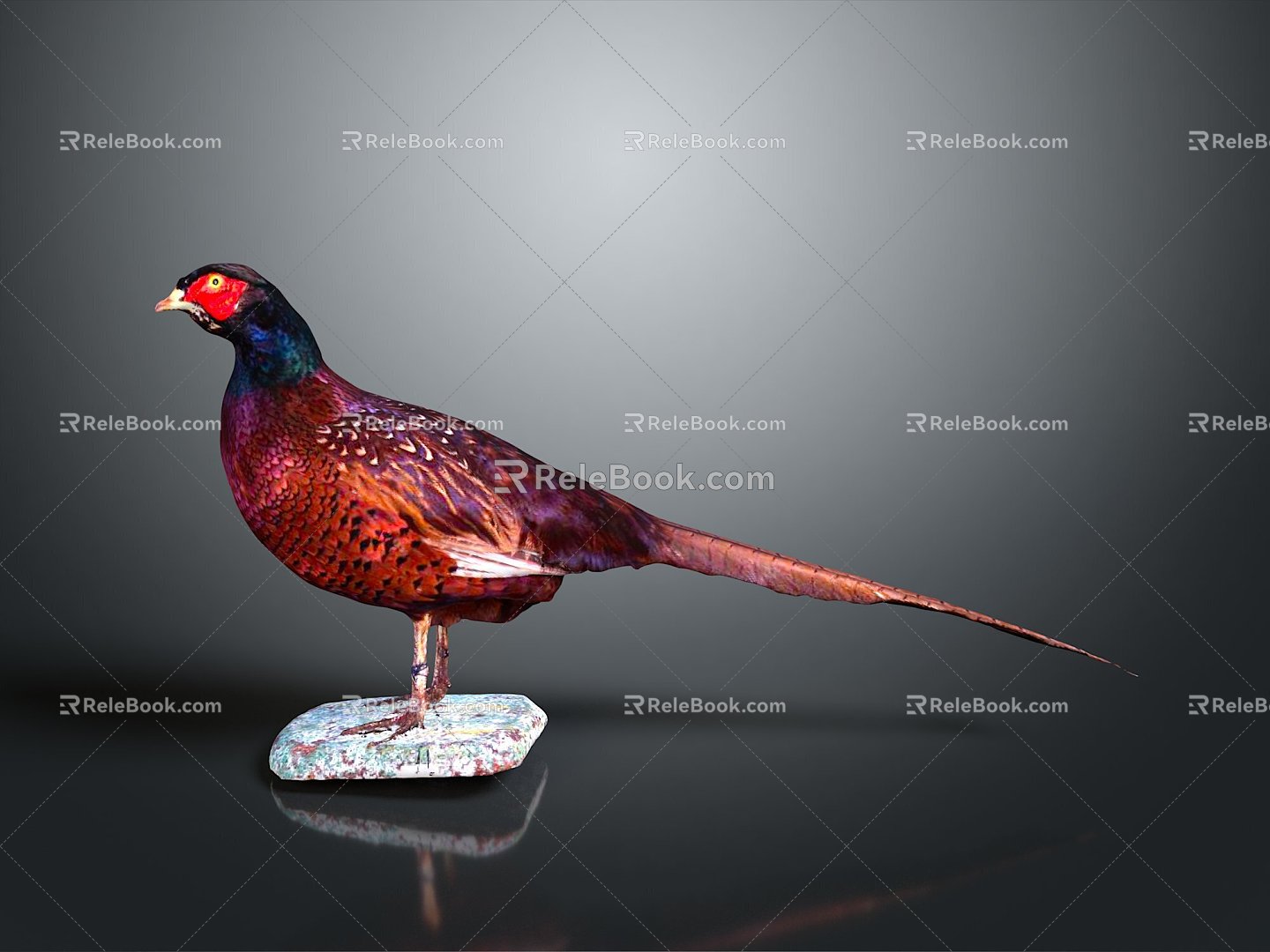 bird bird bird bird game animal cartoon animal animal realistic animal 3d model