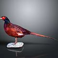 Vibrant Pheasant With Red Head Purple Body Long Tail On White Base Dark Background