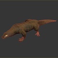 armadillo pangolin anteater land animal wild animal large animal mammal 3d model