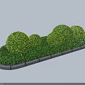 Trimmed Round Shrubs In Garden Landscape With Lawn Grass And Stone Edging