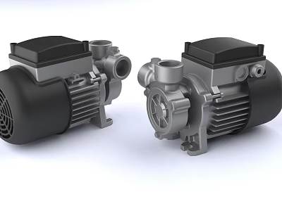 Industrial Electric Pumps With Black And Silver Housing And Flange Connections 3d model