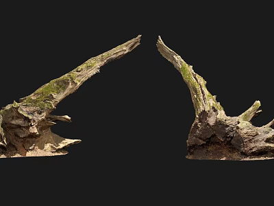 Moss Covered Arbor Tree Trunks In Symmetrical Arch Shape On Black Background 3d model