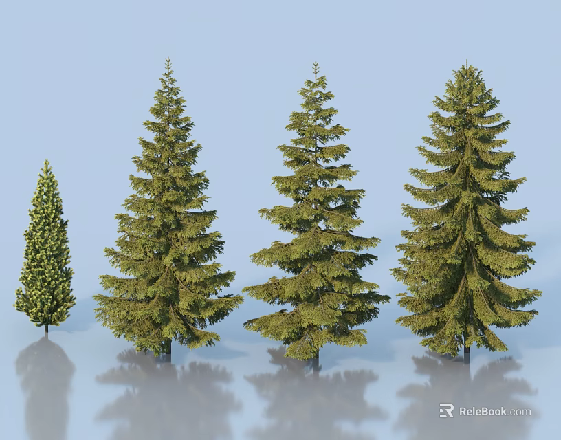 Evergreen Trees of Various Sizes with Lush Green Foliage and Different Heights 3d model 