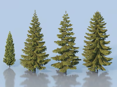 Evergreen Trees of Various Sizes with Lush Green Foliage and Different Heights 3d model