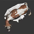 Brown And White Cow Model Standing On White Base With Realistic Details