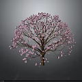Beautiful Tree Adorned With Pink Blossoms Against Dark Background With Reflection