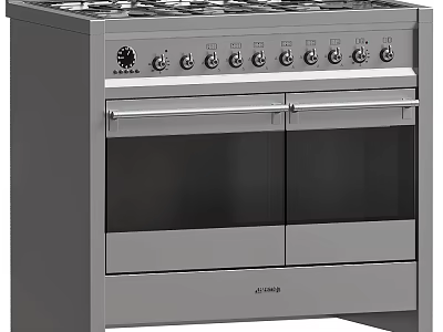 Silver Kitchen Appliance Range Cooker With Double Door And Knob Control Elements 3d model
