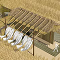 Traditional Thatched Roof Shed With Drying White Fabrics And Person Near Wheat Field