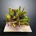 Cactus Plant With Green Pads Yellow Flowers And Sandy Base