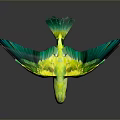 Green and yellow parrot bowing head with partially spread wings standing on reflective dark background