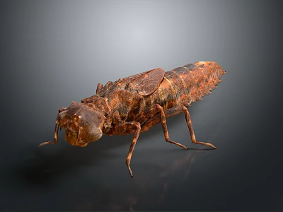 Textured Brown Orange Insect Sculpture With Rustic Finish On Gray Background 3d model